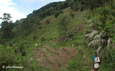 Soil erosion is being caused by farming, especially on steep slopes